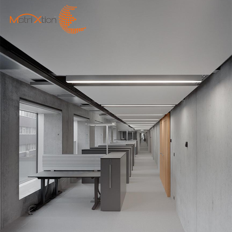 Matrixtion Raft Modern Custom Luxury Aluminum Suspended Decoration Ceiling Tiles