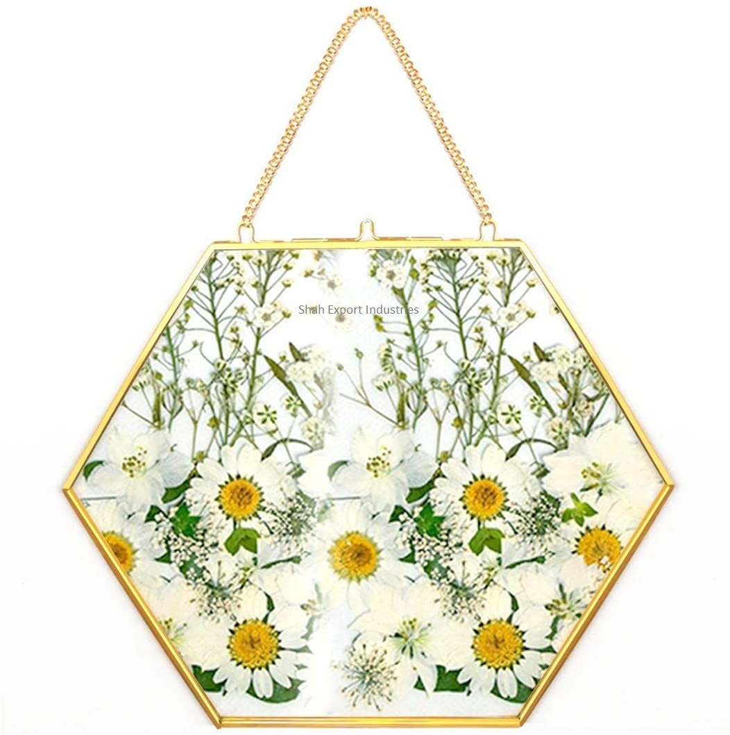 Hexagon Shape gold color glass frames wholesaler hanging two sided photo picture pressed flowers Herb Frame