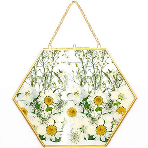 Hexagon Shape gold color glass frames wholesaler hanging two sided photo picture pressed flowers Herb Frame