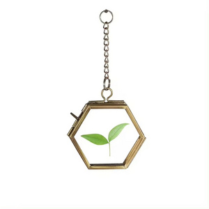 Hexagon shape wall hanging Glass Kiko Frame For Home decorative pressed leaves with gold chain photo frame