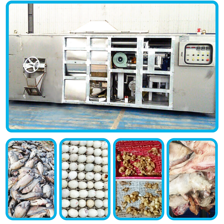 Top sale The Animal Carcass Processing Machine  Galvanized Steel Aquafarm From Vietnam Manufacturer