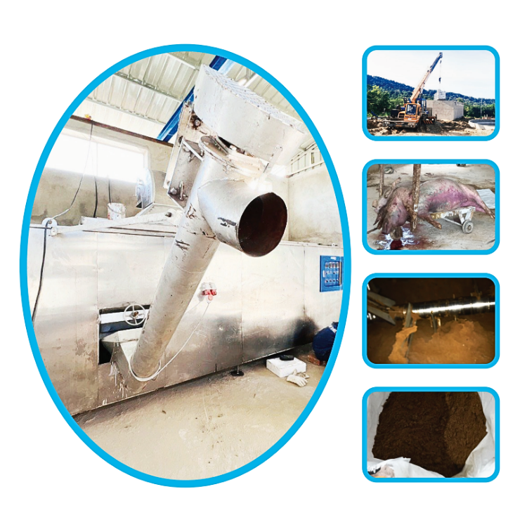 Best selling The Animal Carcass Processing Machine easy to operate and maintain Aquafarm Made in Vietnam Manufacturer