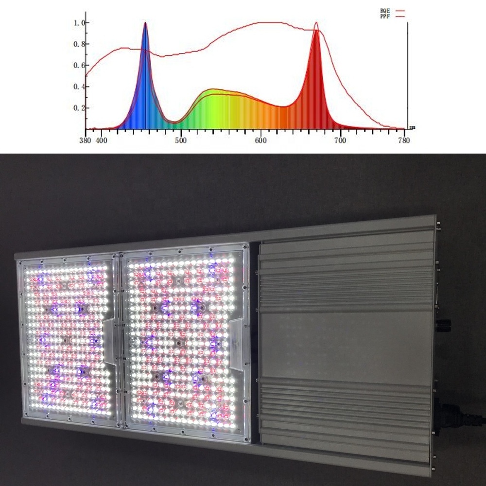 Maxchampion 2023 New Style Gavita 1700E 800W  Full Spectrum Dimmable Led Grow Light