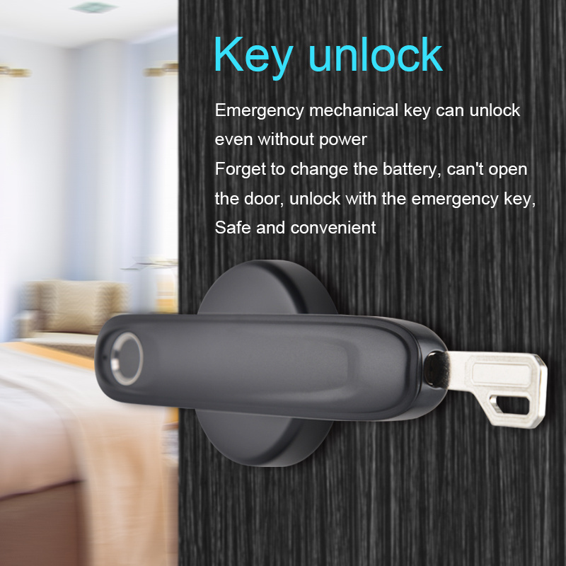 MAXAL 2024 Safety Fingerprint Lever Handle with keys Smart Door lock