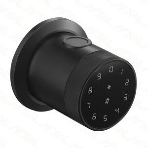 MAXAL 2024 Tuya APP smart lock door handle lock fingerprint key password home apartment door Lock