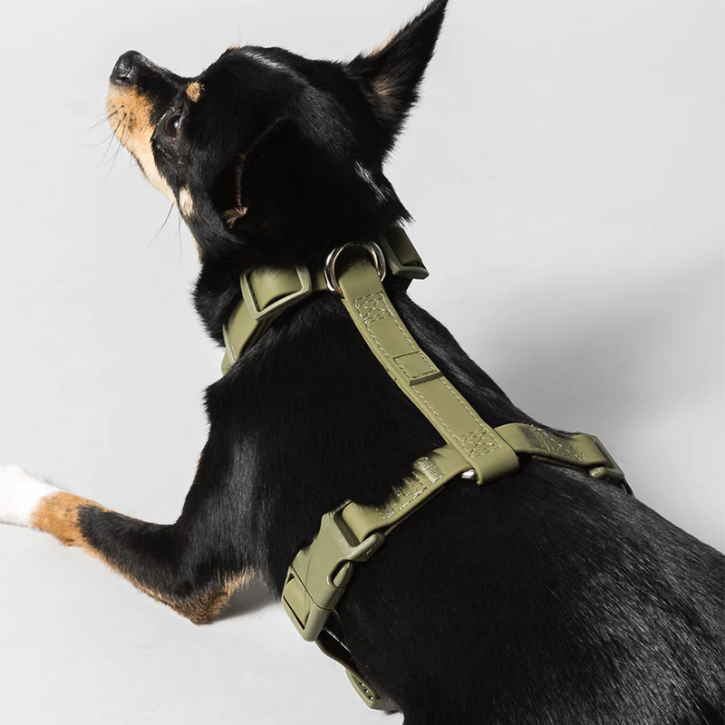 Pet Product New Design Durable Buckle Soft Waterproof Vegan PVC Dog Harness