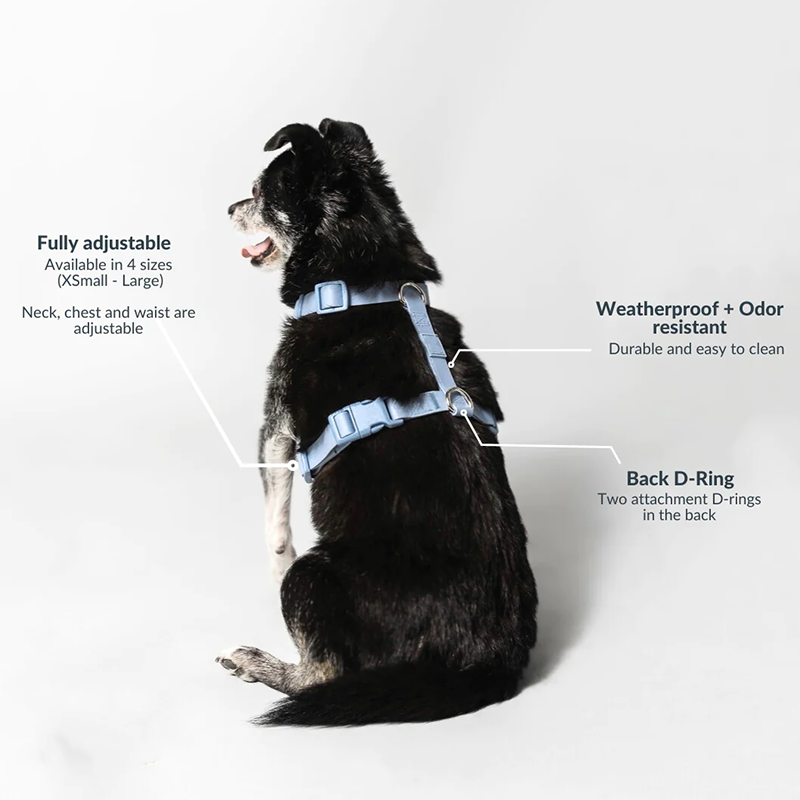 Pet Product New Design Durable Buckle Soft Waterproof Vegan PVC Dog Harness