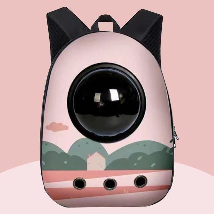 Wholesale Breathable Transparent Pet Cat Dog Travel Carrier Carrying Basket Backpack Bag