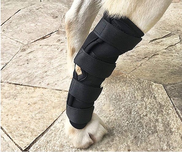 Breathable Injury Recover Dog Protector Knee Support Brace for Leg Hock Joint Wrap