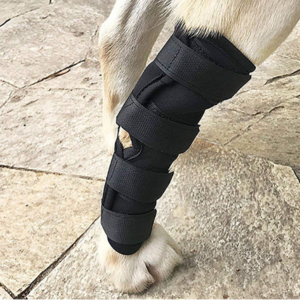 Breathable Injury Recover Dog Protector Knee Support Brace for Leg Hock Joint Wrap