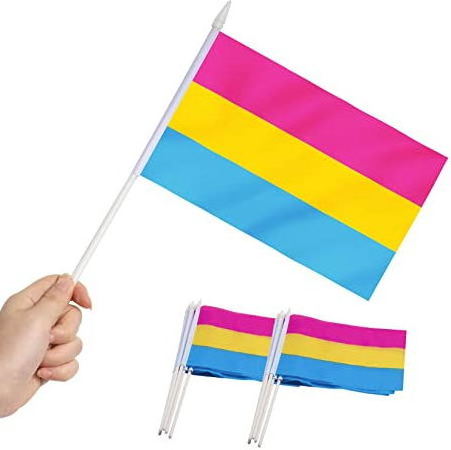 Wholesale Progress Pride Hand Flags Pride Flag Polyester Lgbt Rainbow Progress Pride Stick Flags