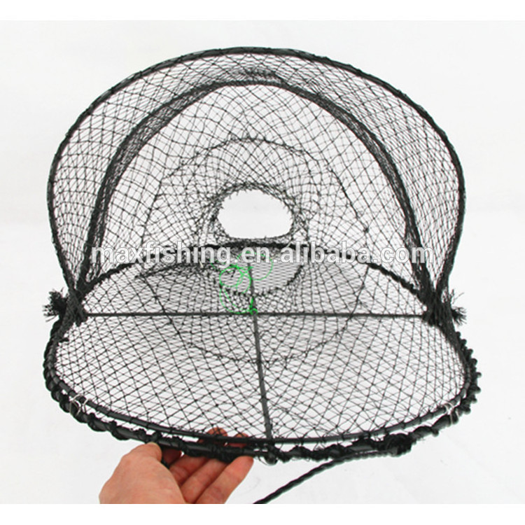 Excellent Opera House folding fishing crab traps