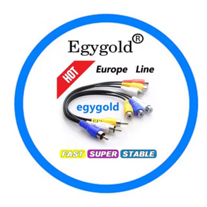 Fast Free Test CCCAM Cline 8 Lines DVB-S2 Europe Slovakia Germany Poland UK Italy Reteail Reseller Panel 24Hour Egygold 7 Lines