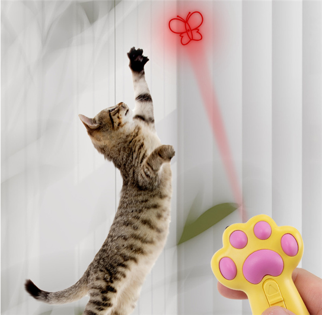 Popular Pet Cat Laser Pointers Cat Laser Toy With Flashlight UV Light