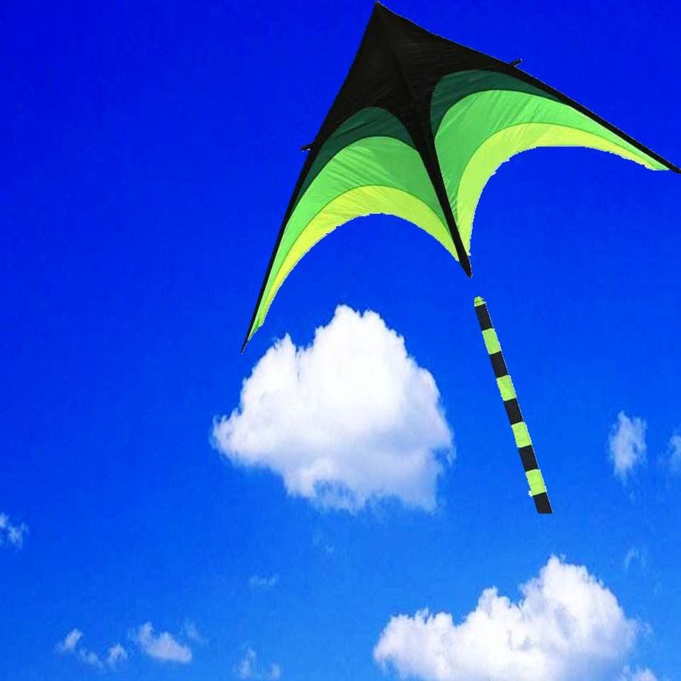 Hot Sale The Kite Factory Cheap Promotional Triangular toy Polyester Kites for Kids