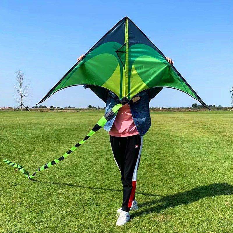 Hot Sale The Kite Factory Cheap Promotional Triangular toy Polyester Kites for Kids