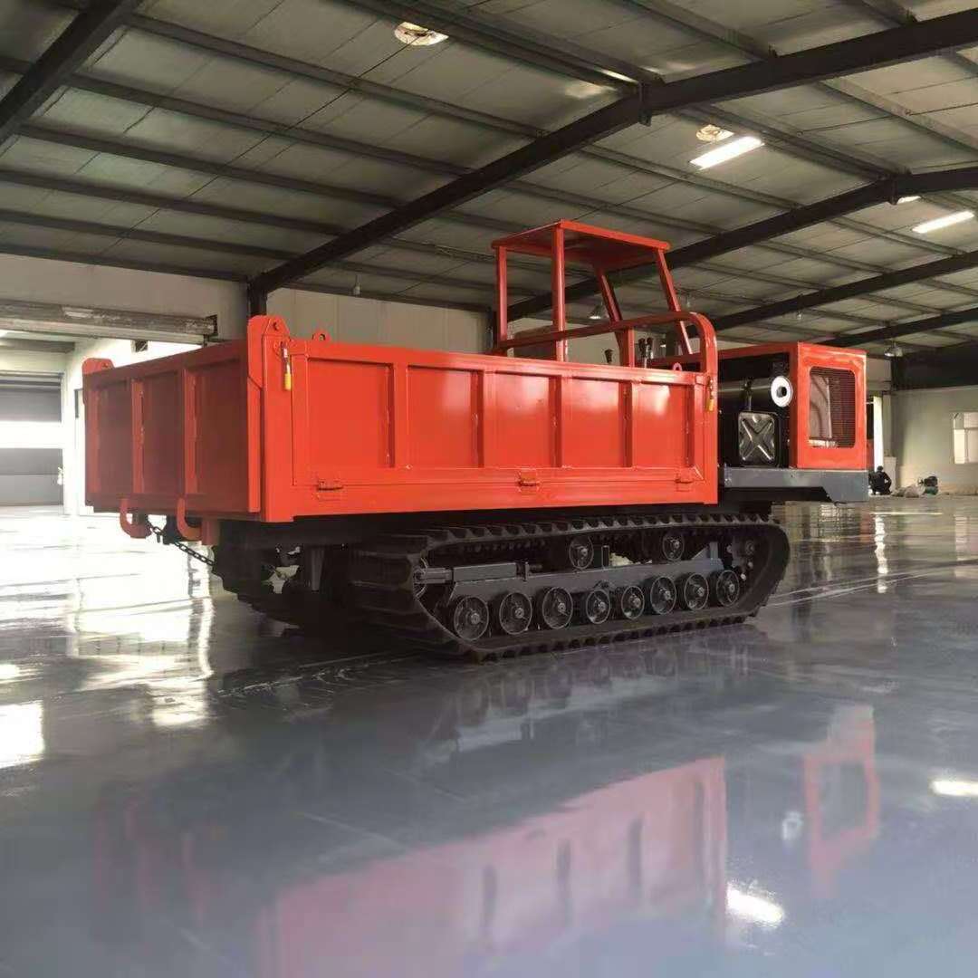 Hot Sale 10 Ton Rubber Crawler Dump Truck LXYS-10T in Stock