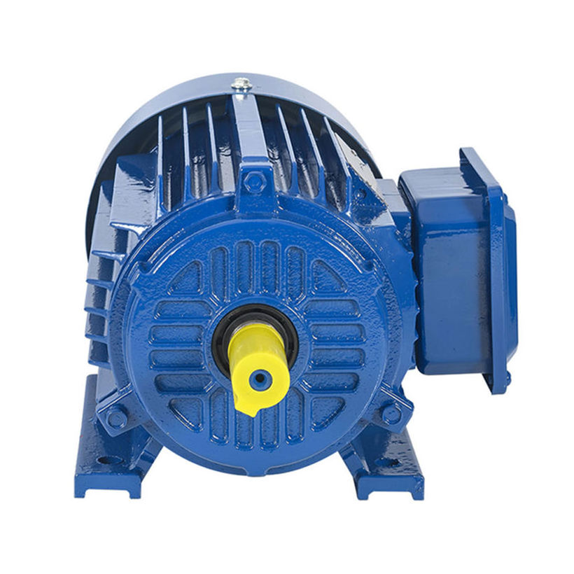 Low Voltage 3 Phase 4pole 55 KW 41.25HP 1500rpm YE3 IP55 Asynchronous Induction Industrial Ac Pump Blower 440V Electric Motor