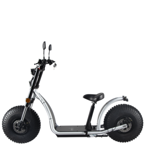 One Seats Electric Tricycle Motorcycle Mobility Scooter Unisex 60V Sycle Bike Bicycle Electronic Scooter