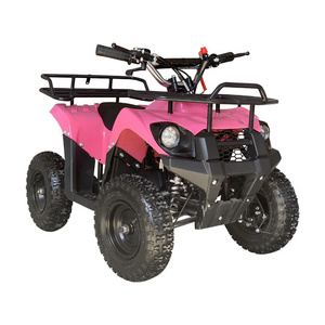 Hot Sale Bull Style 2 Stroke 49cc Pull Starting Kids Mini ATV