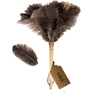 Ostrich Feather Duster