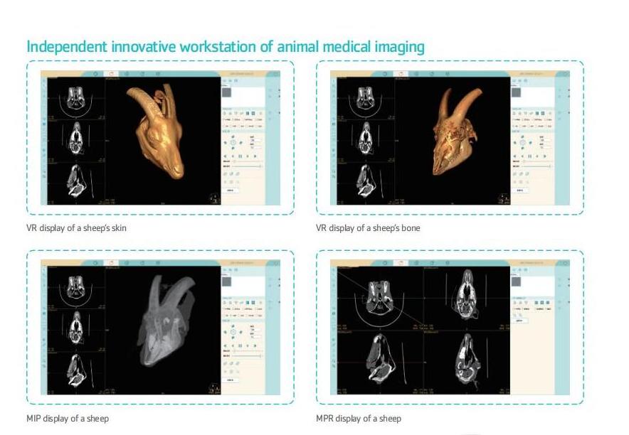 MY-W067C Animals Hospital clinic used vet ct system 32 slice veterinary ct scan machine price