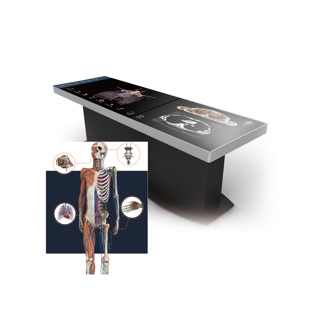 touch screen human virtual 3d anatomy dissection table anatomy table university