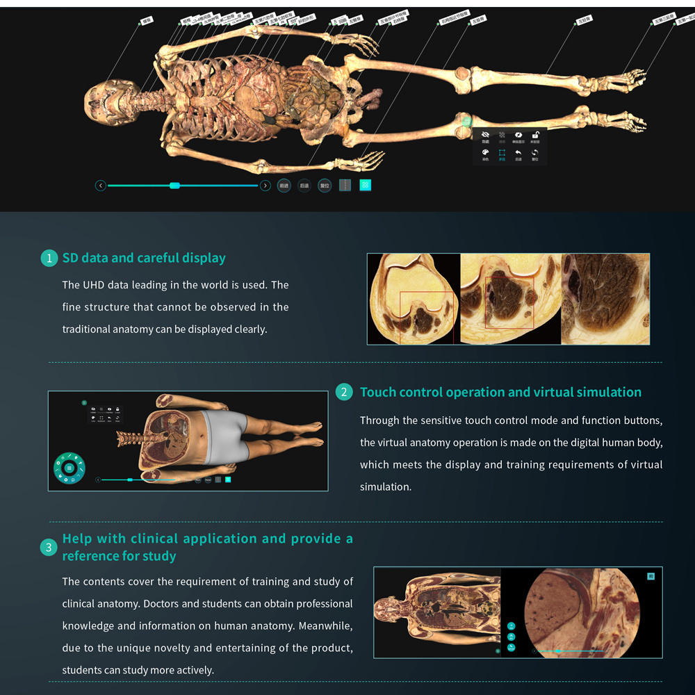 New University projects Digital Human Anatomy System Anatomage 3D body HD Digihuman Virtual  Anatomage Table