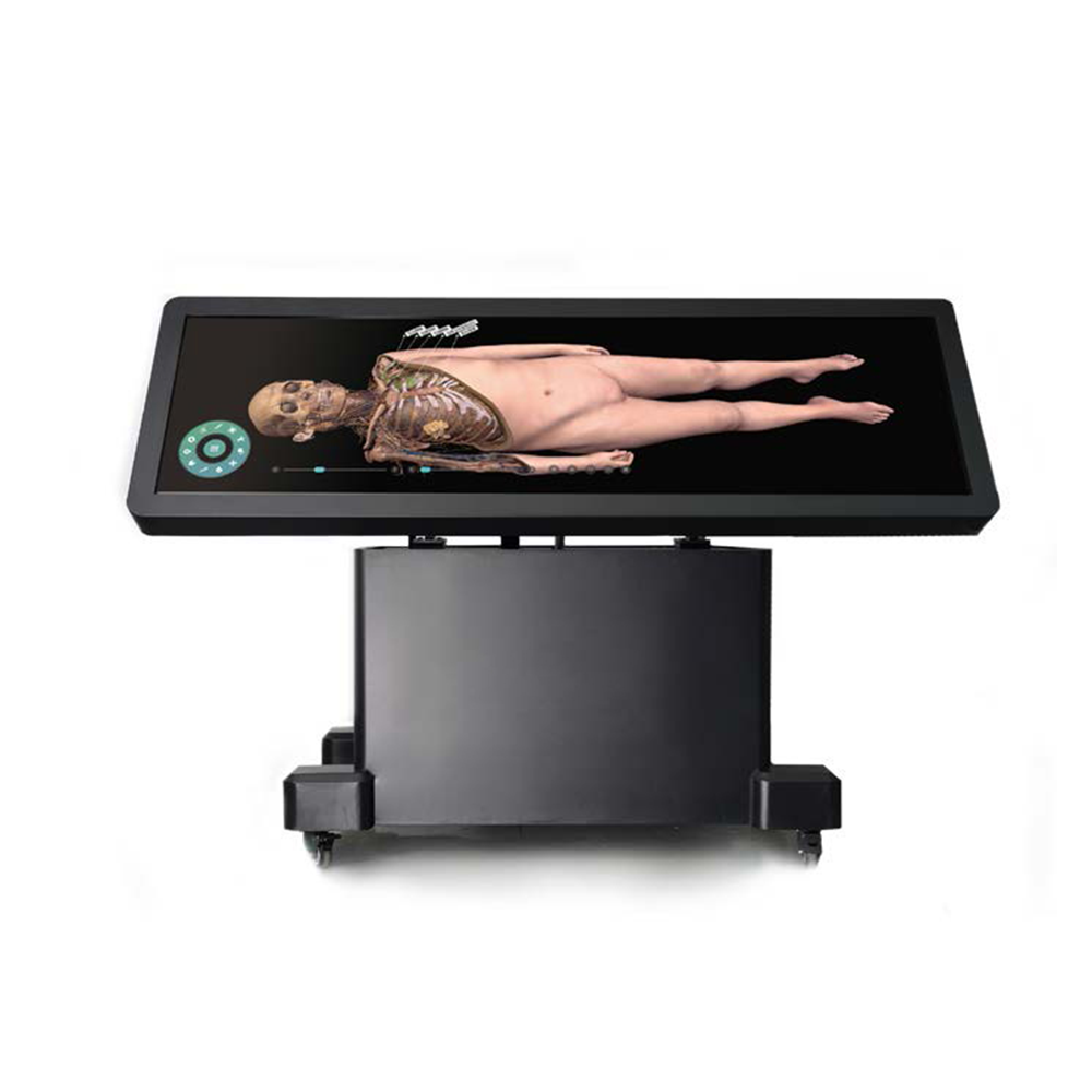 Human Virtual Anatomy Table with 3D Virtual Human Body Virtual Autopsy Dissection Table for School