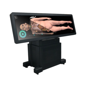 Human Virtual Anatomy Table with 3D Virtual Human Body Virtual Autopsy Dissection Table for School