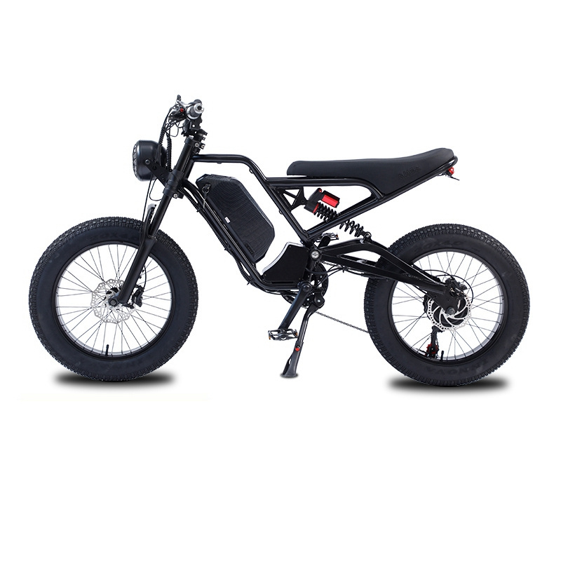 New style 20inch fat tyre electric bike 48v 750w 48v 1500w high power e-bike two big wheels snow beach fat tyre ebike