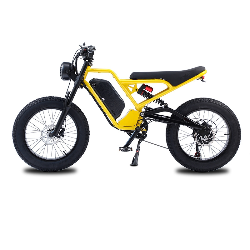 New style 20inch fat tyre electric bike 48v 750w 48v 1500w high power e-bike two big wheels snow beach fat tyre ebike