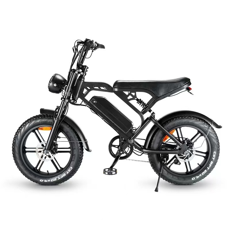 EU Stock Ebike 750W Electric Bike 20inch *4 Big Tire Fat Bike Electric Mountain City Ride Off Road Electric Bikes