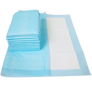 Basics Dog and Puppy Pads Leak-proof 5-Layer Pee Pads with Quick-dry Surface for Potty Training Pet Dogs Diaper