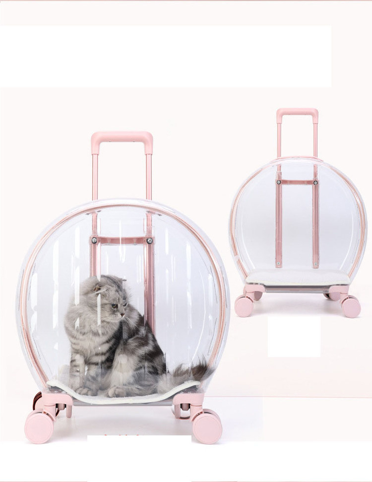 Transparent Pet Outdoor cat bag multi-purpose cat space capsule trolley case Carry backpack out pet bag luggage