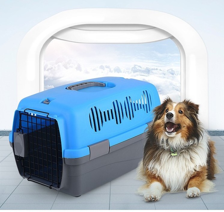 Pet Air Box Big Dog Portable Transport Boxes Shipping Cages With Big Door Cages Pet Carrier With Big Pet Carriers for Traviling