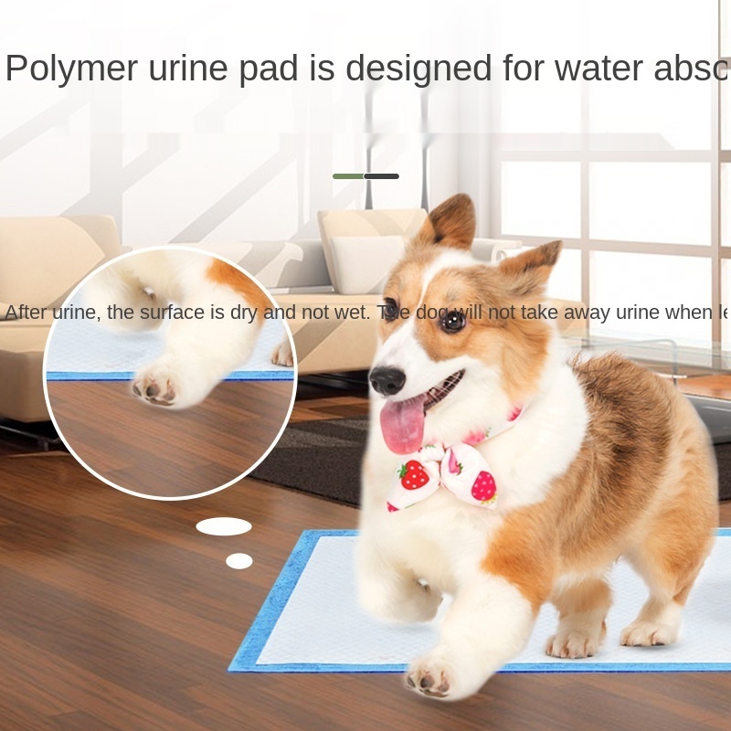 Basics Dog and Puppy Pads Leak-proof 5-Layer Pee Pads with Quick-dry Surface for Potty Training Pet Dogs Diaper