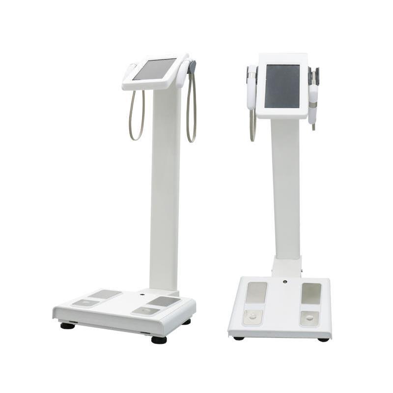 Professional Fixed Digital Portable Bmi Full Body Composition Scan Fat Scale And Body Health Analyzer Machine For Fitness Center