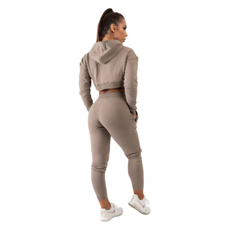 2022 Women's Tracksuit Waterproof Zip Up Crop Tops Knitted Hooded 2Piece Outfits Jogging Sweat suit Sexy Skinny Women Sets Suits