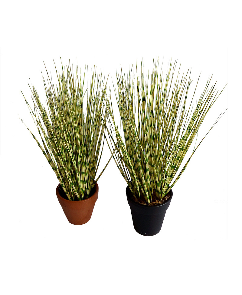 artificial Onion grass artificial grass plant grass bonsai plant