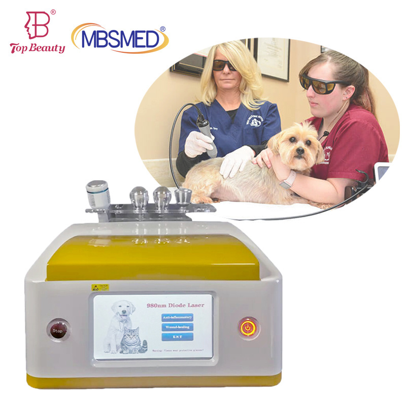 808Nm Class 3B Laser Therapy Device Of Dog Cat Horse Vet Laser Therapy For Pain Relief