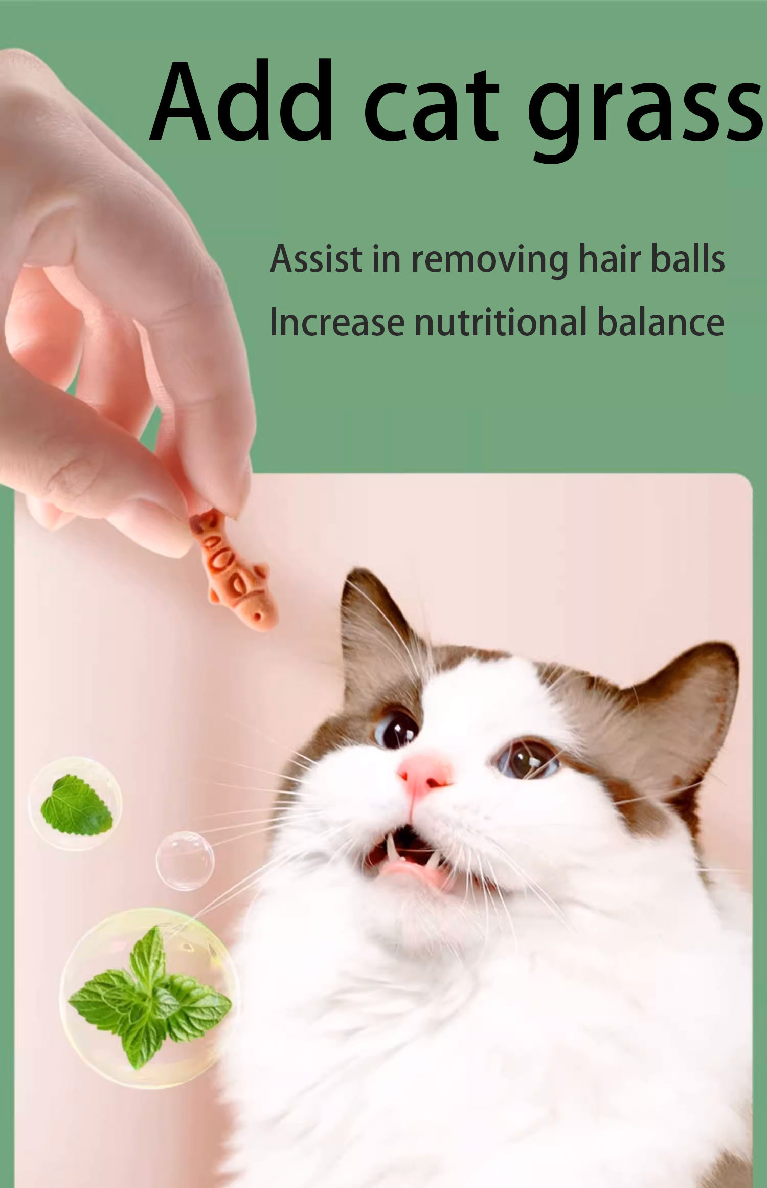 Cat Biscuits, Cat Snacks Cat Mint Nutritional Weight Gain, Small Fish Grass Biscuits Hair Removal Balls Chicken Teeth Cleansing