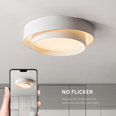 New Product Indoor Fixture Decoration Hotel Home Corridor Villa Modern LED Ceiling Light