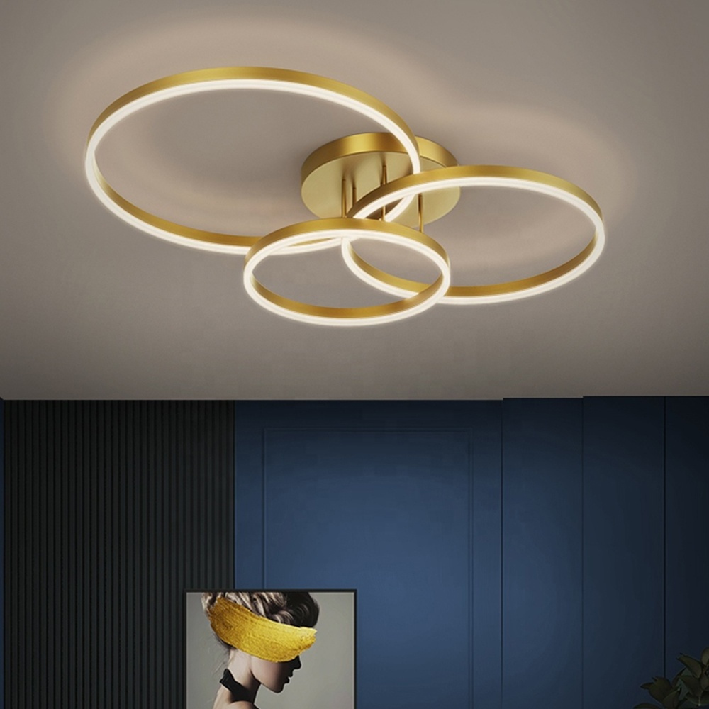 Modern Style Decoration Villa Bedroom Living Room Acrylic Gold Black LED Ceiling Light