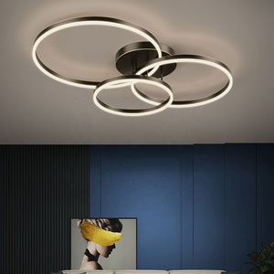 Modern Style Decoration Villa Bedroom Living Room Acrylic Gold Black LED Ceiling Light