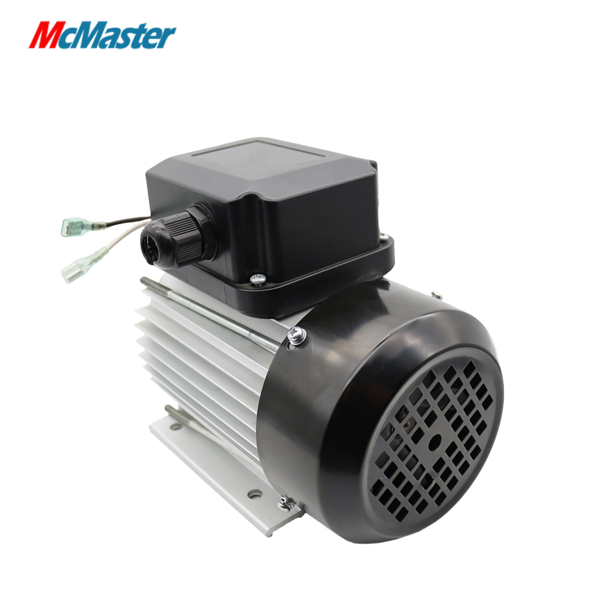 S113 120v 230v Single Phase High Speed 3000 rmp Asynchronous Electric AC Motor For Water Pump