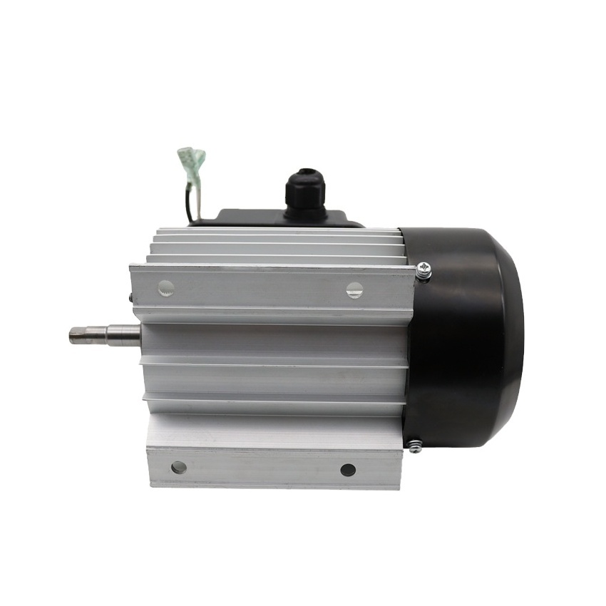 S113 120v 230v Single Phase High Speed 3000 rmp Asynchronous Electric AC Motor For Water Pump