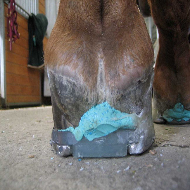 Two-Part Amazing Silicone Mold Putty For Better Hoof Care