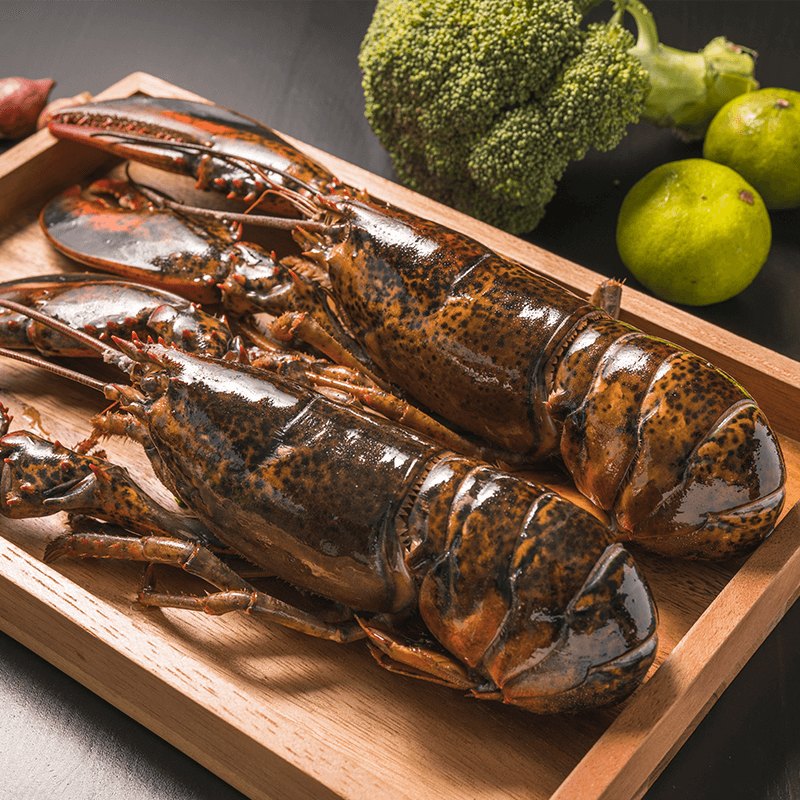 Top sale Frozen Lobsters with Highest Export Quality at best market price wholesale Fresh Frozen Lobsters