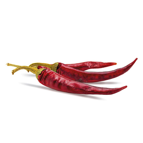 Wholesale price Dried Whole Red Chilli AND Red Chilli 100% Premium Quality For Export wholesale price